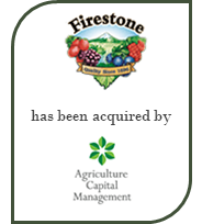 Firestone (1)