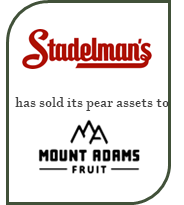 Stadelman_Mount+Adams